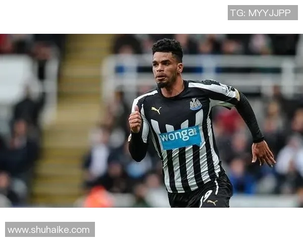 热刺与哈德斯对决前瞻分析及比赛结果预测探讨